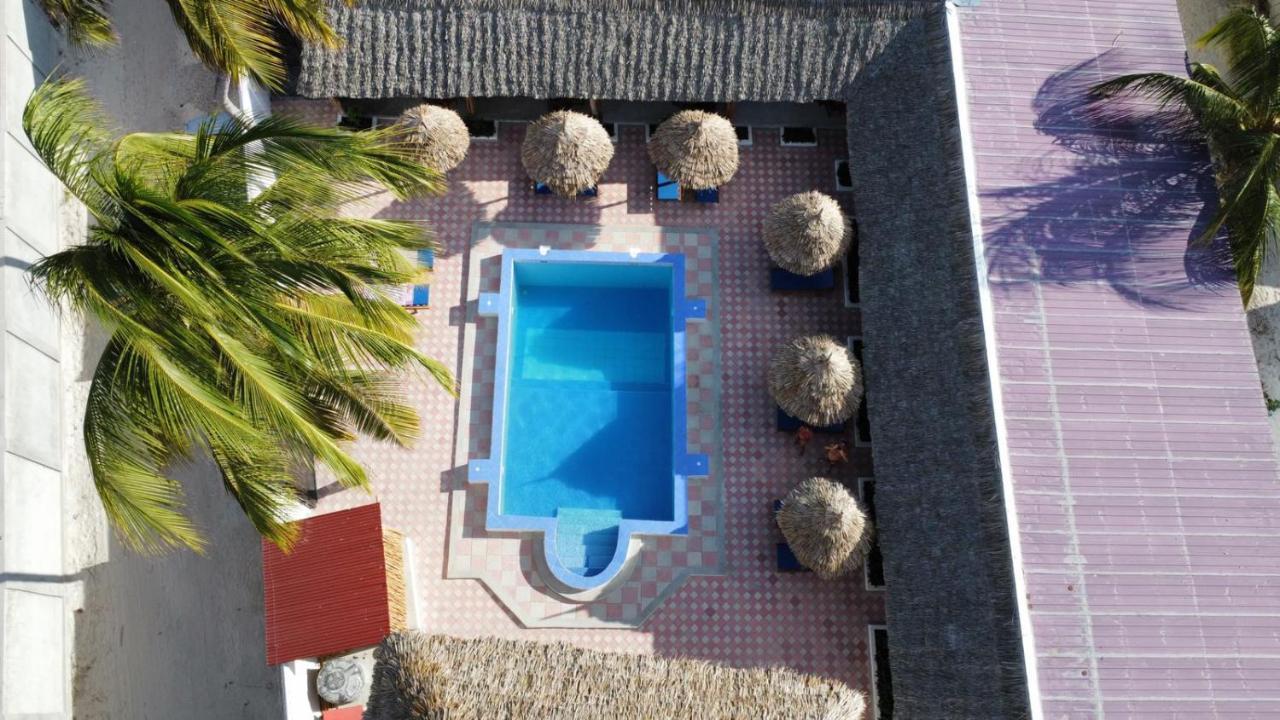 Amani Hotel Paje Eksteriør billede